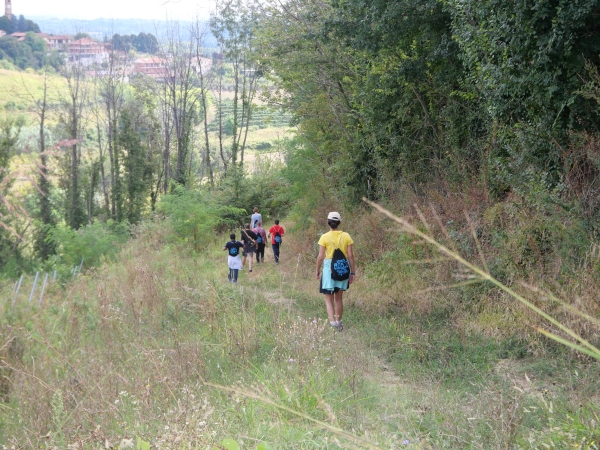 P1086217 (Copy).JPG