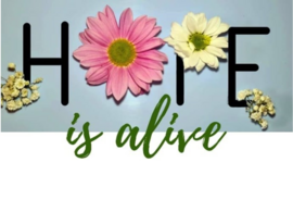 hope is alive